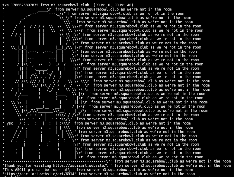 A screenshot of Rika Furude ASCII art in my Synapse logs, line by line